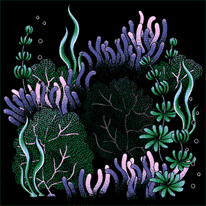Reef Madness Silk Scarf | Black